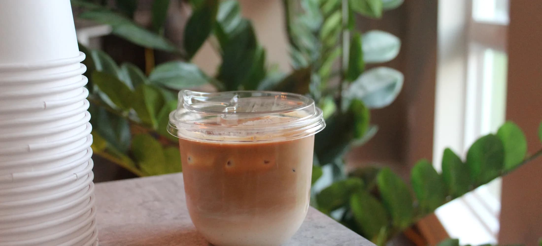 An iced latte with a sip lid on the counter among potted plants