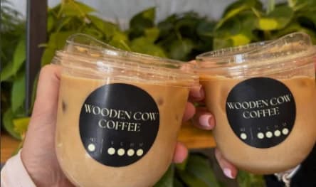 Two iced lattes in branded Wooden Cow Coffee cups toasted in front of a plant wall after a class